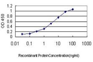 Detection limit for recombinant GST tagged MAP2K3 is approximately 0. (MAP2K3 抗体  (AA 1-100))