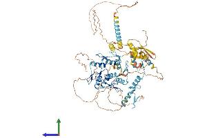 Protein Structure (PS) image for Zinc Finger Protein 336 (ZNF336) (AA 1-706) protein (His tag) (ABIN7557399)
