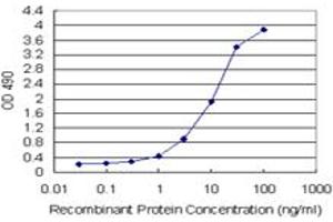 Sandwich ELISA detection sensitivity ranging from 0. (BID (人) Matched Antibody Pair)