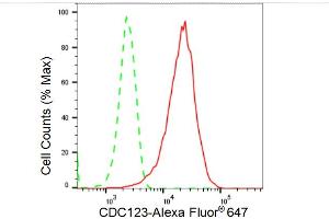 anti-Cell Division Cycle 123 Homolog (CDC123) antibody
