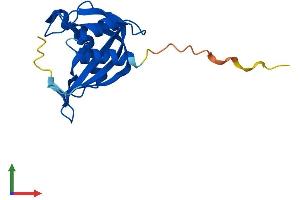 Protein Structure (PS) image for Nudix (Nucleoside Diphosphate Linked Moiety X)-Type Motif 11 (NUDT11) (AA 1-164) protein (His tag) (ABIN7562786)