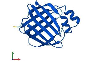 Protein Structure (PS) image for Retinol Binding Protein 7, Cellular (RBP7) (AA 1-134) protein (His tag) (ABIN7561380)