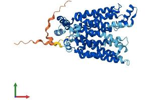 Protein Structure (PS) image for Solute Carrier Family 2 (Facilitated Glucose Transporter), Member 7 (SLC2A7) (AA 1-513) protein (His tag) (ABIN7562798)