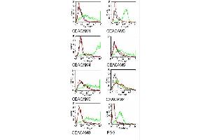 Specificity testing of BAC2. (CEACAM7 抗体)
