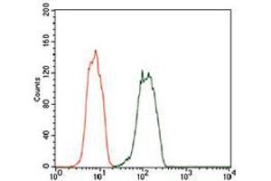 Flow cytometric analysis of HEK293 cells using DCTN4 mouse mAb (green) and negative control (red). (Dynactin 4 抗体  (AA 57-298))