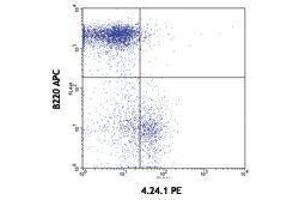 Flow Cytometry (FACS) image for anti-Poliovirus Receptor (PVR) antibody (PE) (ABIN2663059) (Poliovirus Receptor 抗体  (PE))