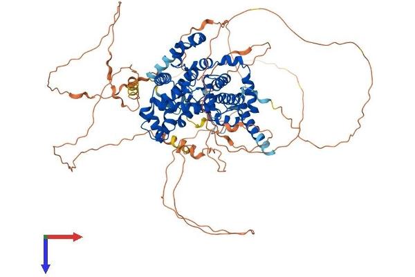 USP6NL Protein (AA 1-828) (His tag)