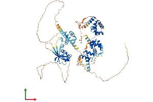 Protein Structure (PS) image for SATB Homeobox 2 (SATB2) (AA 1-733) protein (His tag) (ABIN7555318)