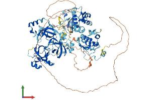 Protein Structure (PS) image for Scm-Like with Four Mbt Domains 1 (SFMBT1) (AA 1-863) protein (His tag) (ABIN7565123)