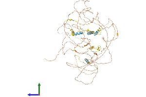 AlphaFold protein structure predicition of Mouse Recombinant Bclaf1 Protein, UniprotID Q8K019