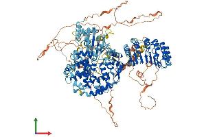 Protein Structure (PS) image for Class II, Major Histocompatibility Complex, Transactivator (CIITA) (AA 1-1130) protein (His tag) (ABIN7552853)
