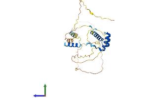 Protein Structure (PS) image for Short Stature Homeobox (SHOX) (AA 1-292) protein (His tag) (ABIN7546171)