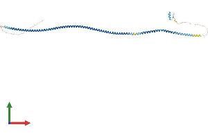 AlphaFold protein structure predicition of Mouse Recombinant Ikbkg Protein, UniprotID O88522