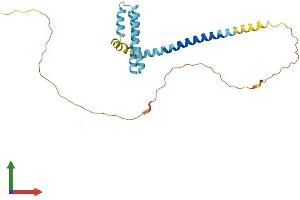 AlphaFold protein structure predicition of Human Recombinant REEP4 Protein, UniprotID Q9H6H4