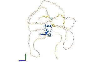 Protein Structure (PS) image for Pygopus Homolog 1 (Drosophila) (PYGO1) (AA 1-417) protein (His tag) (ABIN7560847)