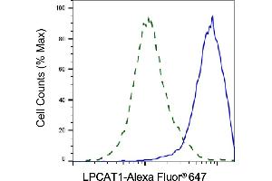 Validation of LPCAT1 knockdown using flow cytometry. (Recombinant LPCAT1 抗体)
