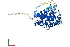 Protein Structure (PS) image for BCL2-Associated X Protein (BAX) (AA 1-192) protein (His tag) (ABIN7552606)