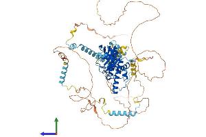 AlphaFold protein structure predicition of Human Recombinant ADD1 Protein, UniprotID P35611