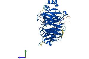 Protein Structure (PS) image for Glutamate-Rich WD Repeat Containing 1 (GRWD1) (AA 1-446) protein (His tag) (ABIN7558468)