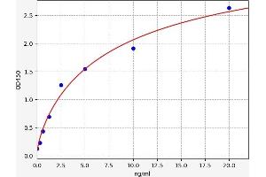 AQP2 ELISA 试剂盒