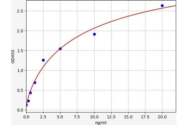 AQP2 ELISA 试剂盒