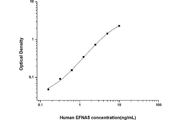 Ephrin A5 ELISA 试剂盒