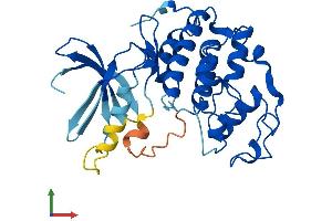 Protein Structure (PS) image for Cyclin-Dependent Kinase 2 (CDK2) (AA 1-298) protein (His tag) (ABIN7553271)