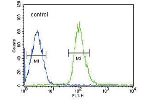Flow Cytometry (FACS) image for anti-Dual Specificity Phosphatase 2 (DUSP2) antibody (ABIN3004027) (DUSP2 抗体)