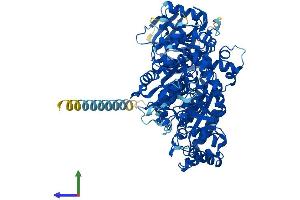 Protein Structure (PS) image for N-Deacetylase/N-Sulfotransferase (Heparan Glucosaminyl) 4 (NDST4) (AA 1-872) protein (His tag) (ABIN7554711)