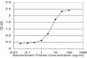 Detection limit for recombinant GST tagged UNC13D is approximately 1ng/ml as a capture antibody. (UNC13D 抗体  (AA 2-100))