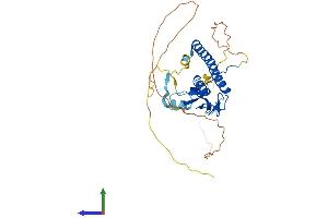 Protein Structure (PS) image for Rabphilin 3A-Like (Without C2 Domains) (RPH3AL) (AA 1-315) protein (His tag) (ABIN7551526)