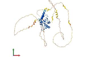 Protein Structure (PS) image for Small ArfGAP2 (SMAP2) (AA 1-429) protein (His tag) (ABIN7546041)