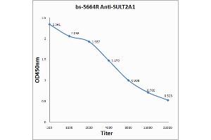 ELISA image for anti-Sulfotransferase Family, Cytosolic, 2A, Dehydroepiandrosterone (DHEA)-Preferring, Member 1 (SULT2A1) (AA 91-170) antibody (ABIN712916)