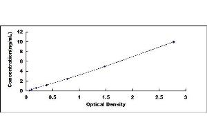 Typical standard curve (BCMO1 ELISA 试剂盒)