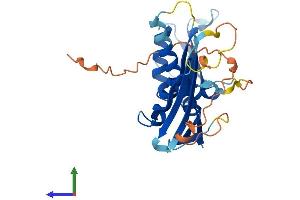 AlphaFold protein structure predicition of Human Recombinant RDM1 Protein, UniprotID Q8NG50