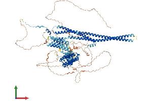 Protein Structure (PS) image for Histocompatibility (Minor) HA-1 (HMHA1) (AA 1-1136) protein (His tag) (ABIN7554116)