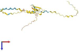 MOBP Protein (AA 1-170) (His tag)