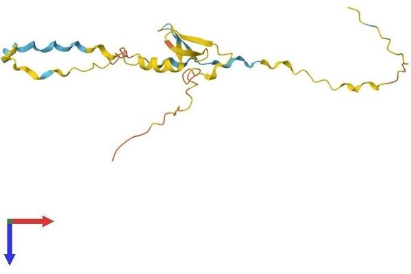 MOBP Protein (AA 1-170) (His tag)