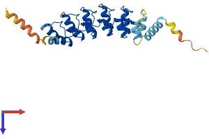 Protein Structure (PS) image for Ankyrin Repeat Domain 7 (ANKRD7) (AA 1-254) protein (His tag) (ABIN7552152)