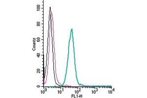 Cell surface detection of PAFR by direct flow cytometry in live intact mouse  microglia cells: + Rabbit IgG isotype control-FITC. (PTAFR 抗体  (Extracellular) (FITC))