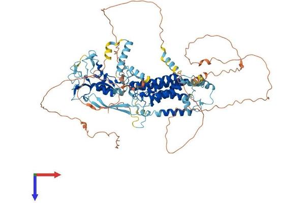 RHBDF1 Protein (AA 1-855) (His tag)