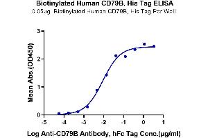Immobilized Biotinylated Human CD79B, His Tag at 0. (CD79b Protein (AA 29-159) (His-Avi Tag,Biotin))