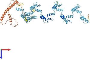 AlphaFold protein structure predicition of Human Recombinant ZNF66 Protein, UniprotID Q6ZN08