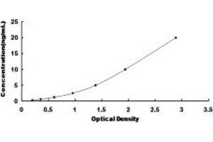 Typical standard curve (SLC1A6 ELISA 试剂盒)