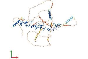 AlphaFold protein structure predicition of Human Recombinant LPP Protein, UniprotID Q93052 (LPP Protein (AA 1-612) (His tag))