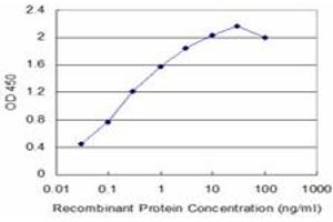 Detection limit for recombinant GST tagged NBR1 is approximately 0. (NBR1 抗体  (AA 2-96))
