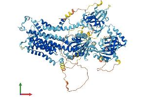 Protein Structure (PS) image for ATPase, Class VI, Type 11A (ATP11A) (AA 1-1187) protein (His tag) (ABIN7563570)