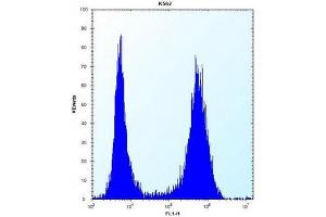 Flow cytometric analysis of K562 cells using ND3 Antibody (N-term) Cat. (MT-ND3 抗体  (N-Term))