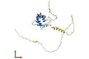 Protein Structure (PS) image for FEV (ETS Oncogene Family) (FEV) (AA 1-238) protein (His tag) (ABIN7547606)