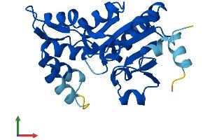 Protein Structure (PS) image for Phosphoserine Phosphatase (PSPH) (AA 1-225) protein (His tag) (ABIN7546113)
